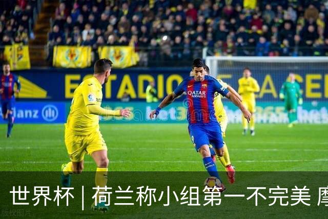 世界杯 | 荷兰称小组第一不完美 摩洛哥是“硬茬”