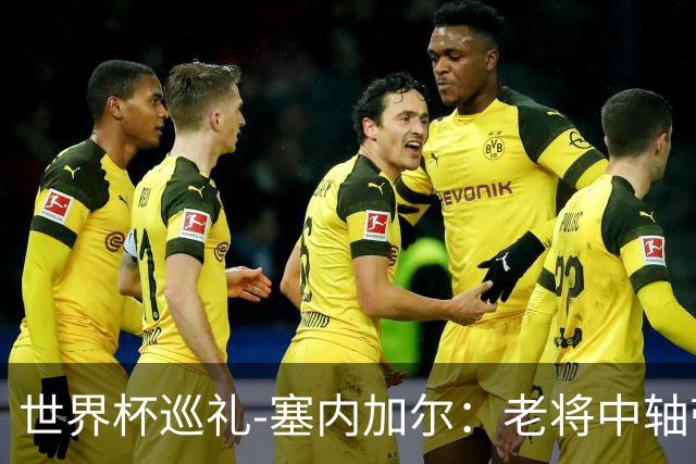 世界杯巡礼-塞内加尔：老将中轴带来安全感，非洲顶流前景可期！